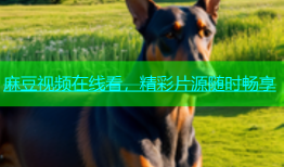 麻豆视频在线看，精彩片源随时畅享