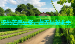 核桃芝麻豆浆，营养早餐助手