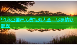 91麻豆国产免费视频大全，尽享精彩影视
