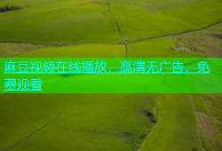 麻豆视频在线播放，高清无广告，免费观看