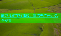 麻豆视频在线播放，高清无广告，免费观看