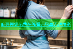 麻豆视频免费在线看，尽享无限精彩
