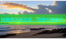 核桃黑芝麻豆浆，营养早餐助手