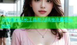 视频麻豆站长工具助力精准流量变现秘诀