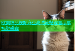 欧美精品视频麻豆高清流畅观看尽享视觉盛宴