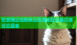 欧美精品视频麻豆高清流畅观看尽享视觉盛宴