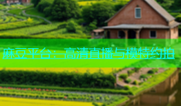 麻豆平台：高清直播与模特约拍