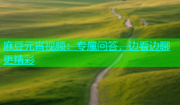 麻豆元宵视频：专属问答，边看边聊更精彩