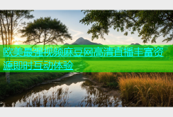 欧美最强视频麻豆网高清直播丰富资源即时互动体验