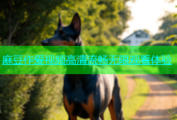 麻豆作爱视频高清流畅无限观看体验
