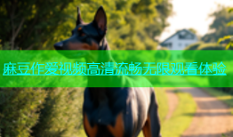 麻豆作爱视频高清流畅无限观看体验