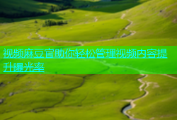 视频麻豆官助你轻松管理视频内容提升曝光率