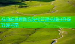 视频麻豆官助你轻松管理视频内容提升曝光率