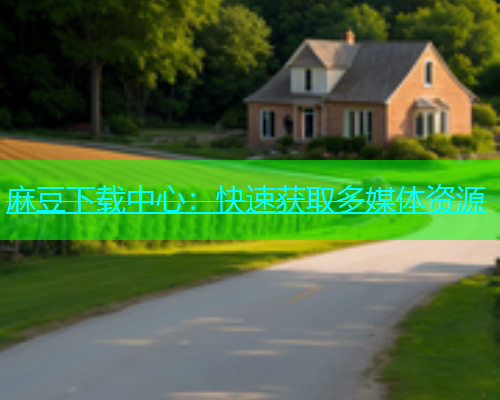 麻豆下载中心：快速获取多媒体资源