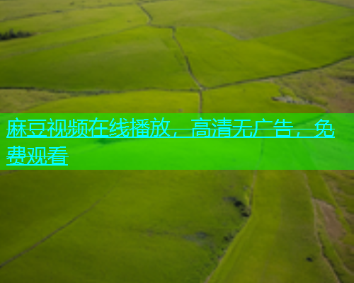 麻豆视频在线播放，高清无广告，免费观看