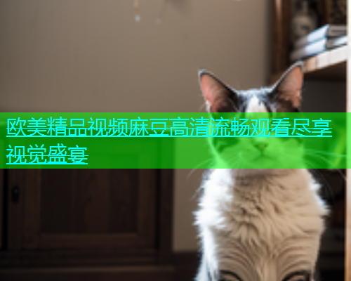 欧美精品视频麻豆高清流畅观看尽享视觉盛宴