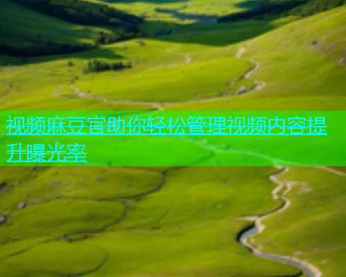 视频麻豆官助你轻松管理视频内容提升曝光率