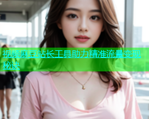 视频麻豆站长工具助力精准流量变现秘诀
