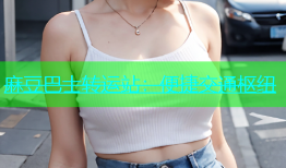 麻豆巴士转运站：便捷交通枢纽