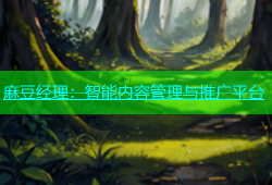 麻豆经理：智能内容管理与推广平台
