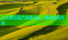 久久麻豆国产视频平台，精选优质内容