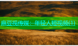 麻豆视传媒：年轻人短视频(1)