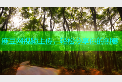 麻豆网视频上传，轻松分享你的创意