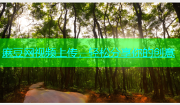 麻豆网视频上传，轻松分享你的创意