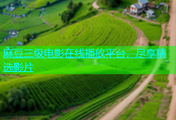 麻豆三级电影在线播放平台，尽享精选影片
