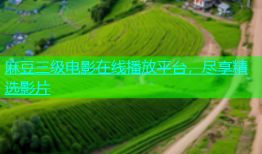 麻豆三级电影在线播放平台，尽享精选影片