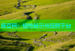 麻豆网：模特展示与招聘平台