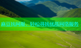 麻豆找网服，轻松寻找优质网络服务
