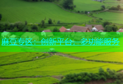 麻豆专区：创新平台，多功能服务