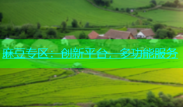 麻豆专区：创新平台，多功能服务