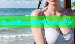 麻豆水电工：智能家居解决方案
