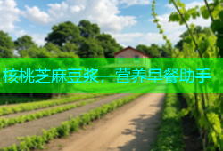 核桃芝麻豆浆，营养早餐助手
