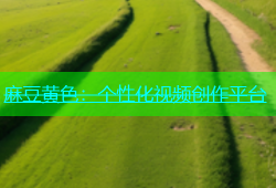 麻豆黄色：个性化视频创作平台