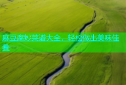 麻豆腐炒菜谱大全，轻松做出美味佳肴