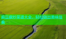 麻豆腐炒菜谱大全，轻松做出美味佳肴