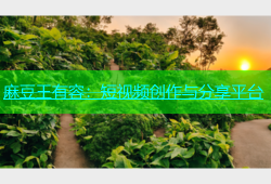 麻豆王有容：短视频创作与分享平台