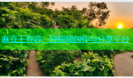 麻豆王有容：短视频创作与分享平台