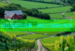 麻豆视频在线看，精彩片源随时畅享