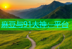 麻豆与91大神：平台