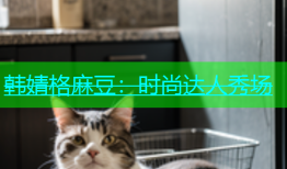 韩婧格麻豆：时尚达人秀场