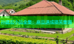 孙建宏小品全集：麻豆速成搞笑集锦