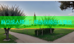 麻豆成人精品：精选视频在线播放