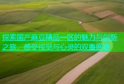 探索国产麻豆精品一区的魅力与创新之旅，感受视觉与心灵的双重盛宴