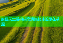 麻豆天堂看视频高清隐秘体验尽在掌握