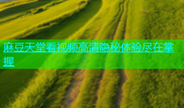 麻豆天堂看视频高清隐秘体验尽在掌握