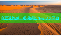 麻豆视传媒：短视频创作与分享平台